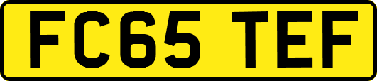 FC65TEF