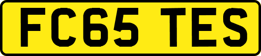FC65TES