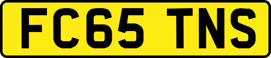 FC65TNS