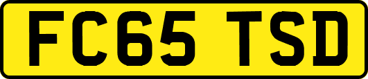 FC65TSD
