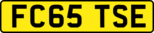 FC65TSE