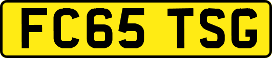 FC65TSG