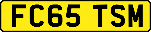 FC65TSM