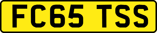 FC65TSS
