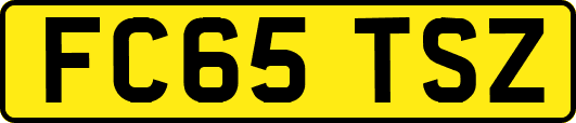 FC65TSZ