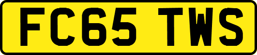 FC65TWS