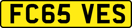 FC65VES