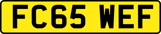 FC65WEF