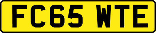 FC65WTE