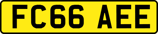 FC66AEE