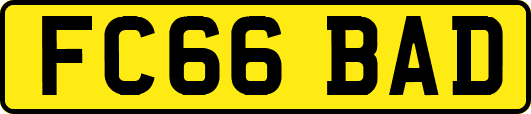 FC66BAD