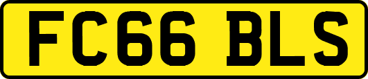 FC66BLS