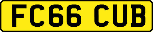 FC66CUB