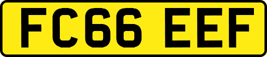 FC66EEF