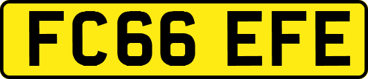 FC66EFE