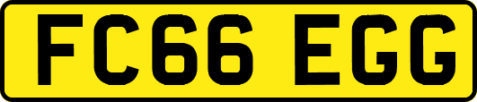 FC66EGG