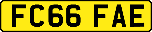 FC66FAE