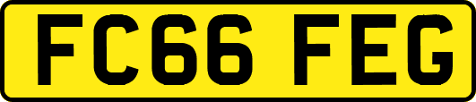 FC66FEG
