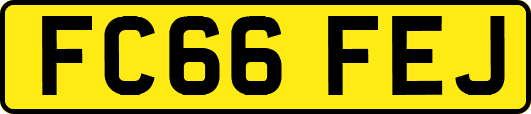 FC66FEJ