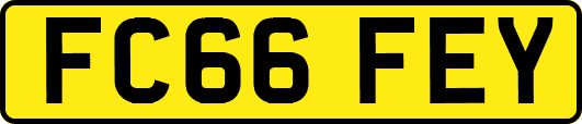 FC66FEY