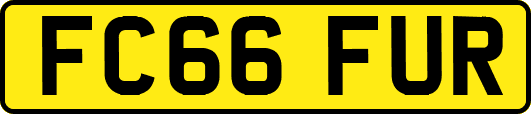FC66FUR