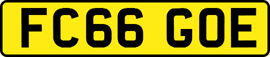 FC66GOE