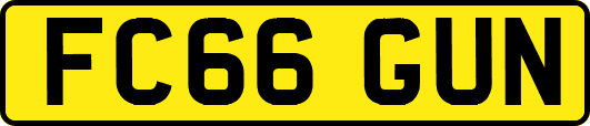 FC66GUN