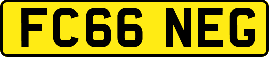 FC66NEG