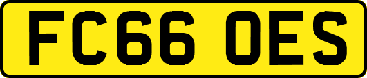 FC66OES