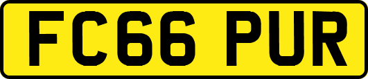 FC66PUR