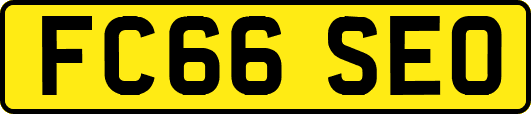 FC66SEO