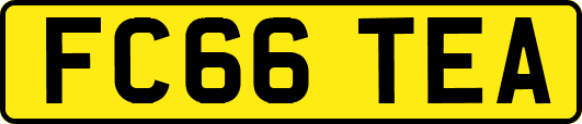 FC66TEA