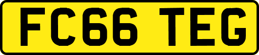 FC66TEG