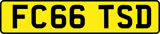 FC66TSD