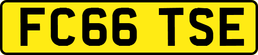 FC66TSE