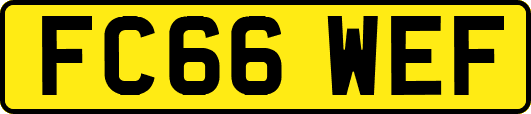FC66WEF