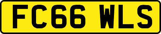 FC66WLS