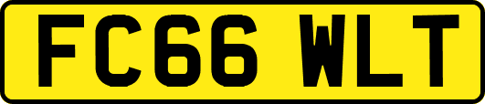 FC66WLT