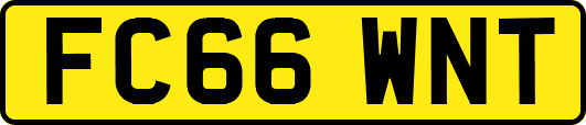 FC66WNT