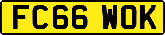FC66WOK