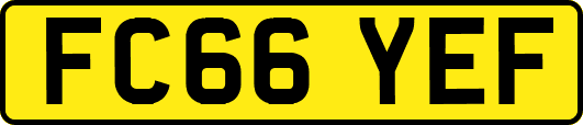 FC66YEF