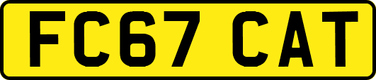 FC67CAT
