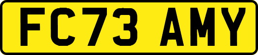 FC73AMY
