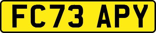 FC73APY