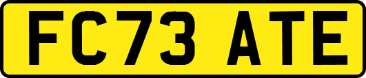 FC73ATE
