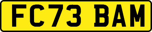 FC73BAM