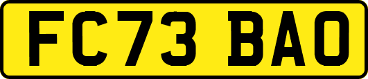 FC73BAO