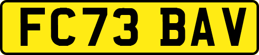 FC73BAV