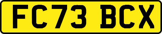 FC73BCX