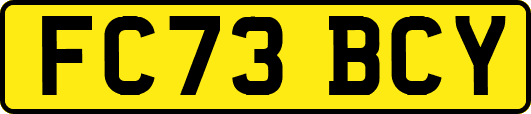 FC73BCY